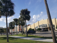 센트럴 플로리다 올랜도 지역 대학교 UCF College [University of Central Florida]