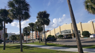 센트럴 플로리다 올랜도 지역 대학교 UCF College [University of Central Florida]