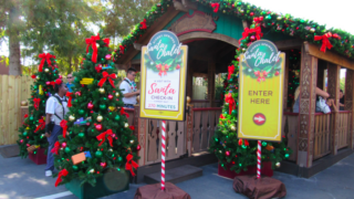12월의 올랜도 디즈니월드 크리스마스 트리 Disney Springs Tree Trail, 산타와 사진 찍기.