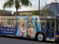 디즈니월드 무료 교통수단 버스편