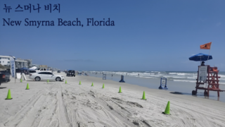 뉴스머나 비치 플로리다 주차비 / 올랜도에서 한시간 New Smyrna Beach Florida 여행 가이드